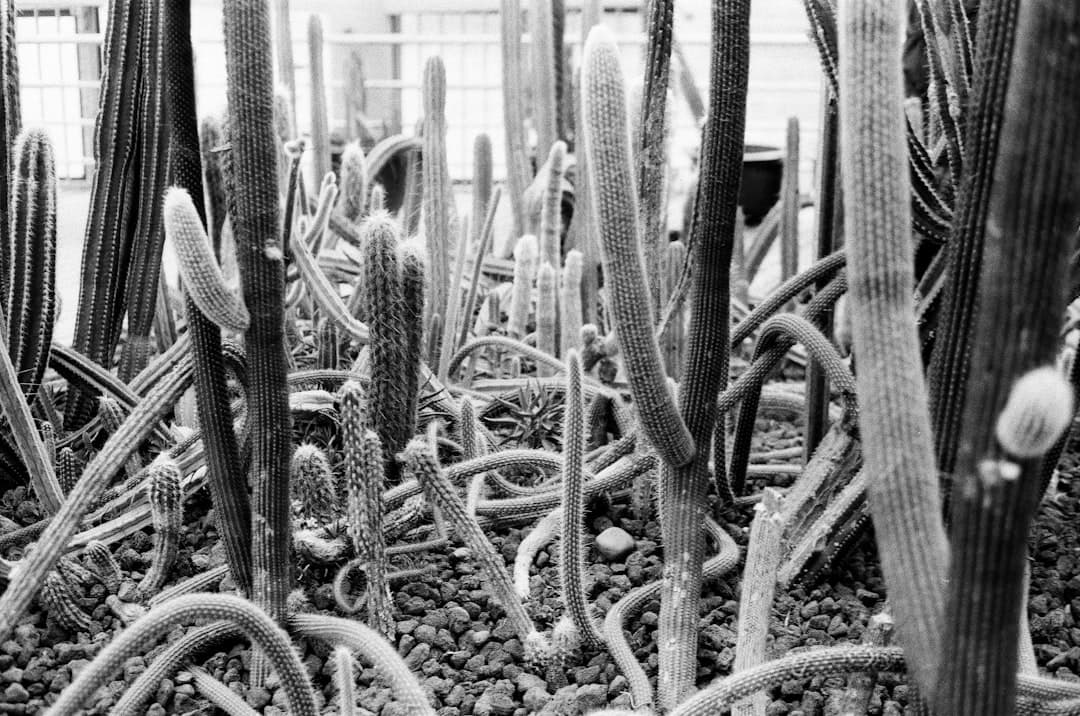 A Gemini betöltése a Google Mapsbe meglepően jól sikerült