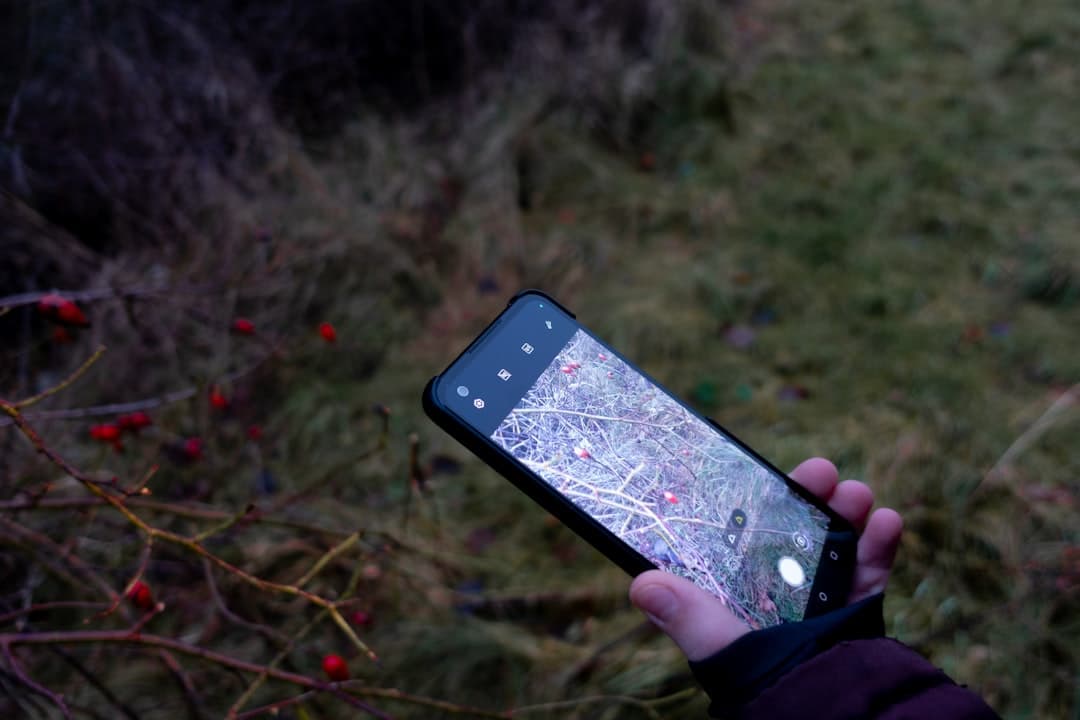 A Google Térkép már a Gemini AI-val ír képaláírásokat