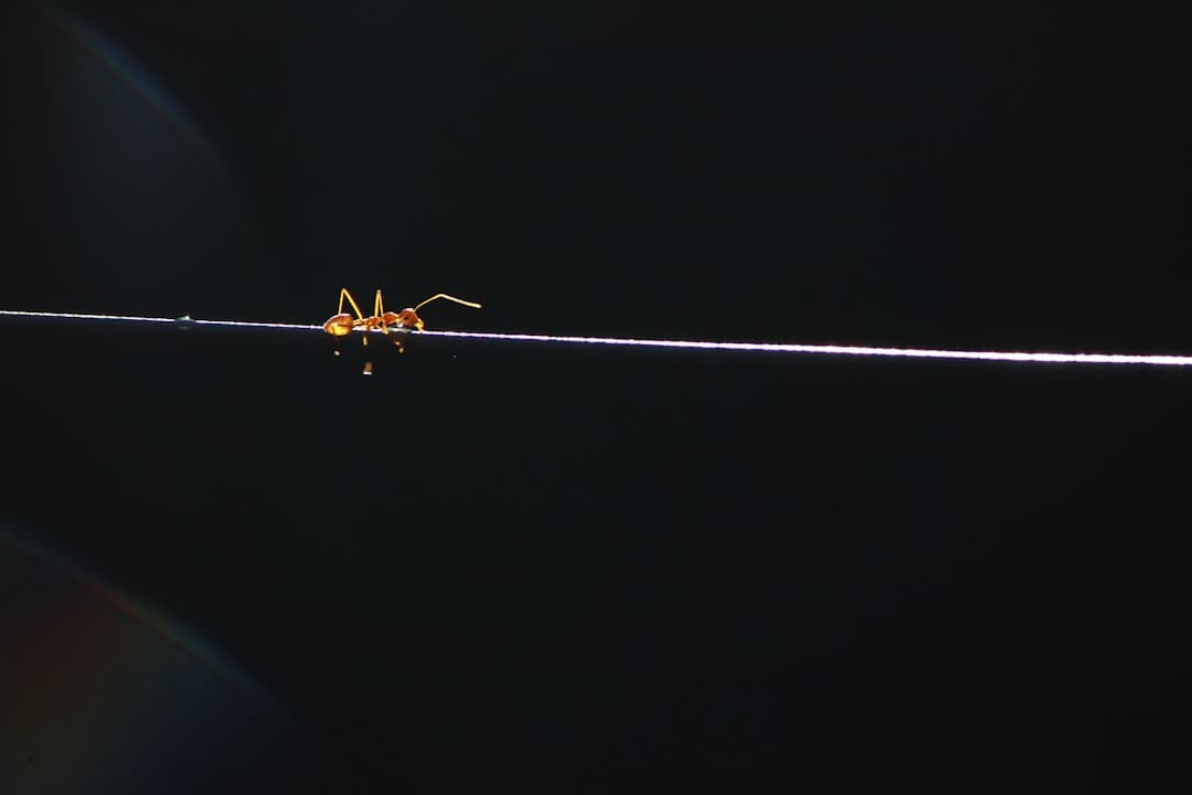 Anthropic J‑Lens‑el tárja fel Claude belső gondolatait — a J‑Space megváltoztatja a válaszokat