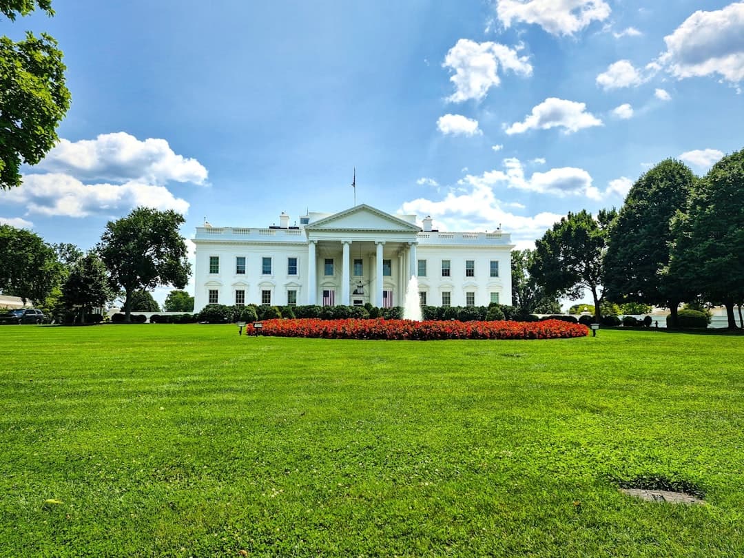Trump AI-politikáját formálja tovább Sriram Krishnan — új intézetet indít
